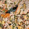 Monoceros detail I