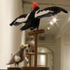 Future Darwinist installation view 3