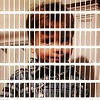 littleman