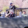 Tiger Safari