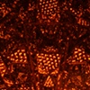 Infinite Mortal Installation--interior view of the Fire