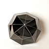 Black Diamond 

