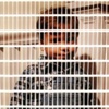 Littleman