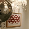 Future Darwinist installation view 11