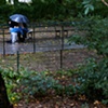 Kiss Under The Rain