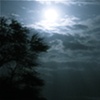 Moon Lit  Waves