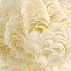 Untitled, detail
