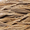 Untitled, detail