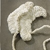 Untitled, detail