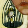 Aviary Accessory