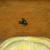Zoe Won't Poop When There are Flies