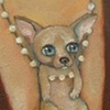Canine Accessory