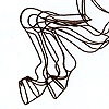 "Muybridge Horse #4"