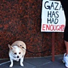 Palestinian Peace Rally