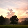 Tennessee 
