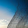 Wire and Paper Mache series
