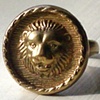 Bronze Lion