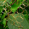 Skipping Stones Necklace