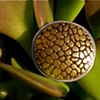 Bronze snakeskin Button ring