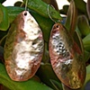 copper and silver earrings
