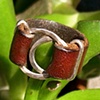 leather and silver ring
