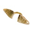 Naxos Ring