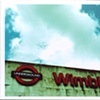 wombledon
