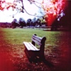 holga
