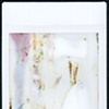 instax seagull