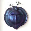  Limoncitrusus Cassidinae beetle 