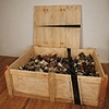 Trophy Case