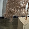 Shrouded (Prayer Shawl): tassel detail