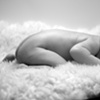 baby anisa