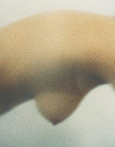 Untitled, Breast