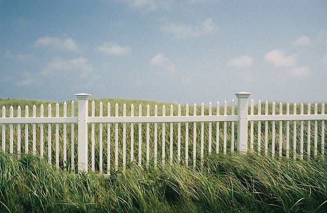 cape codders