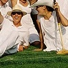 cape codders