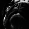 Hercules
