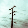 Electricity