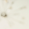 Untitled, Light