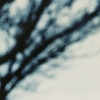 Untitled, Tree