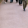 Golden Gate Park