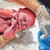 Bathing the Newborn 1