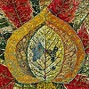 "Fire Leaf'