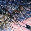 "After the Storm"