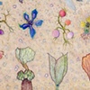"Insects and Flowers"