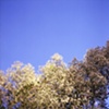 Faint Light