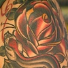 SNAKE AND ROSES