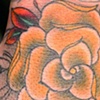 Geo flower