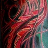 cuttlefish