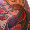 red griffin